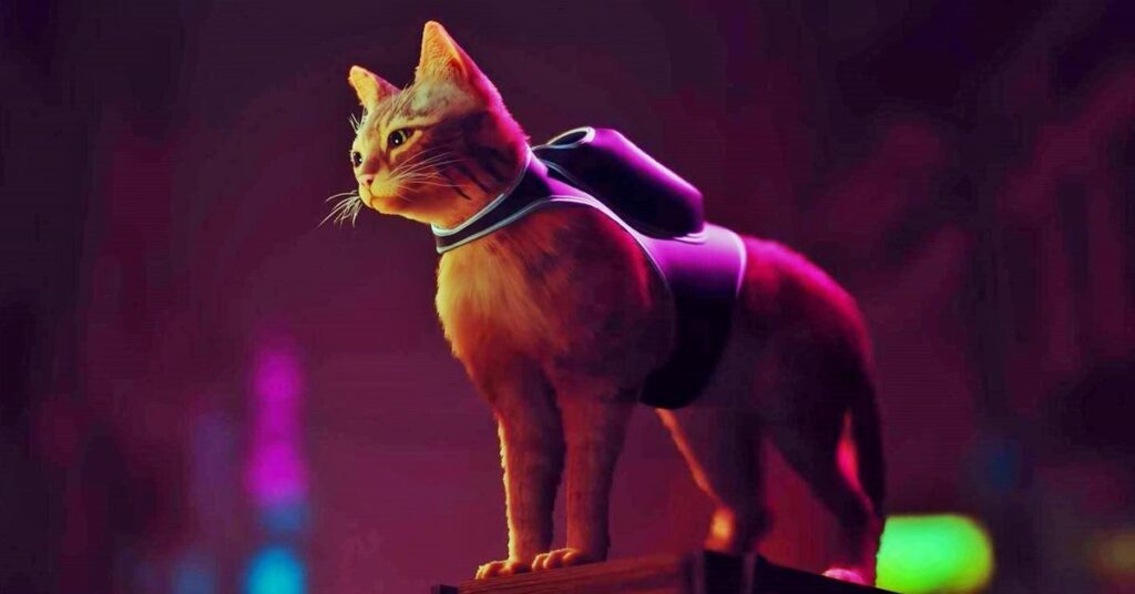 Stan gry: Stray otrzymuje nowy zwiastun z rozgrywką, data premiery ustalona na lipiec Stan gry: Stray otrzymuje nowy zwiastun z rozgrywką, data premiery ustalona na lipiec