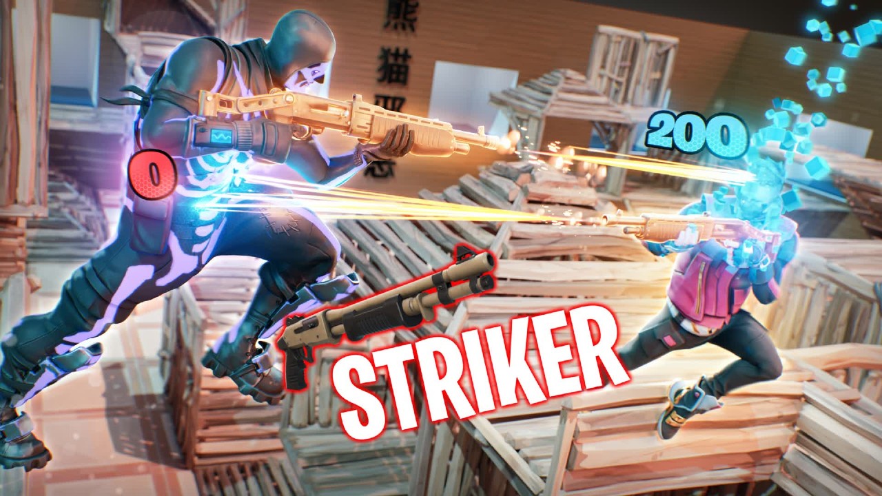 Box-Fight Striker