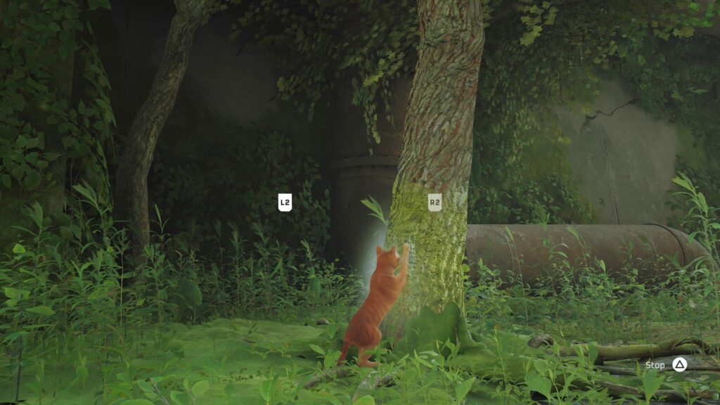 Przewodnik po trofeach Stray: Territory | Wszystkie zadrapania Przewodnik po trofeach Stray: Territory | Wszystkie zadrapania