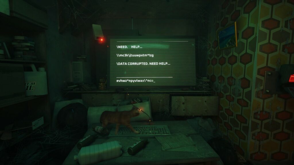 Stray-Turn-On-Computer