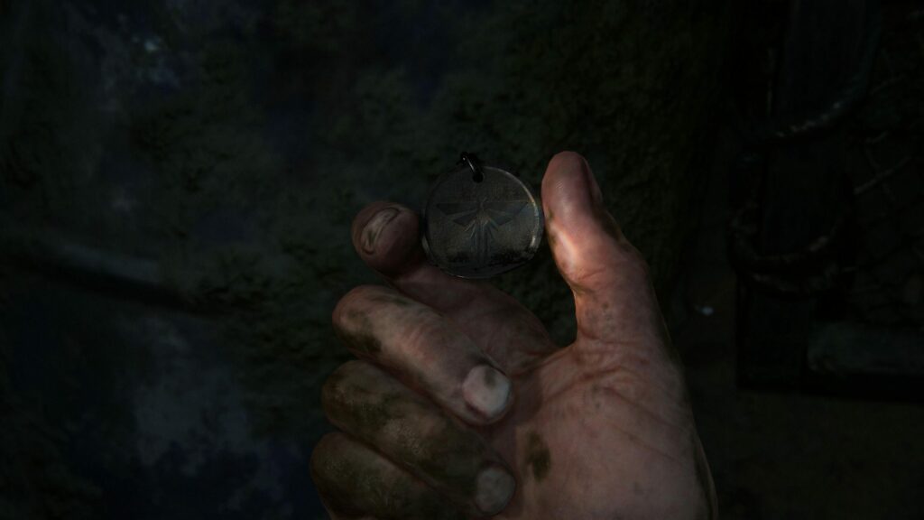 The Last of Us Part 1: Przedmieścia – wszystkie wisiorki ze świetlikami