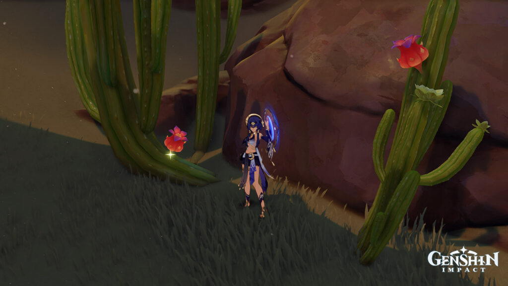 Redcrest-genshin-location