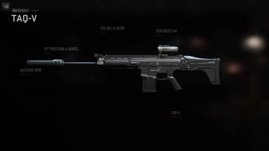 The-Best-TAQ-V-Loadout