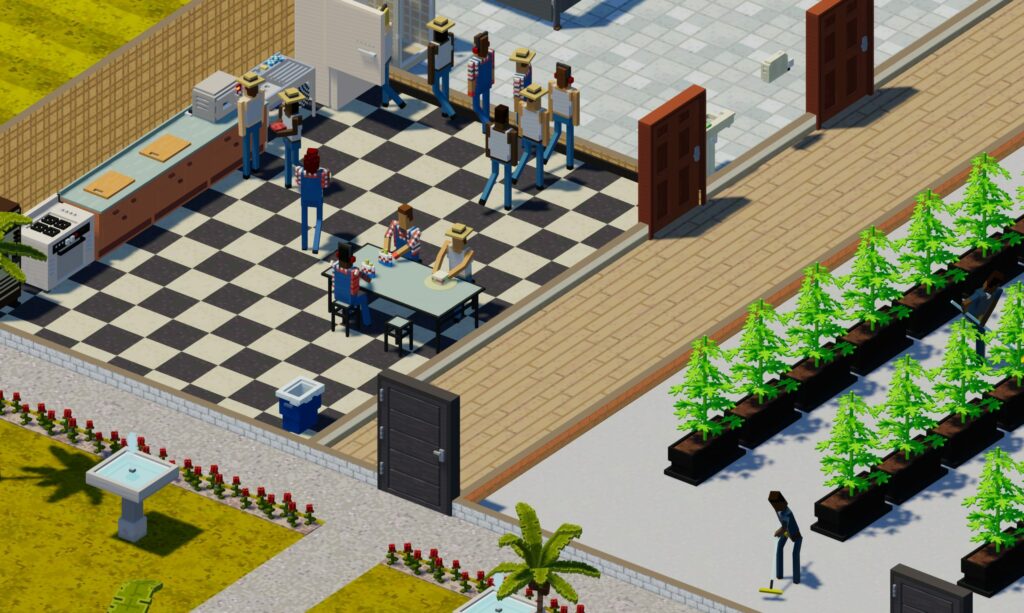 Zdecydowanie nie smażony kurczak: przewodnik dla personelu |  Co robią, jak o nie dbać, ceny