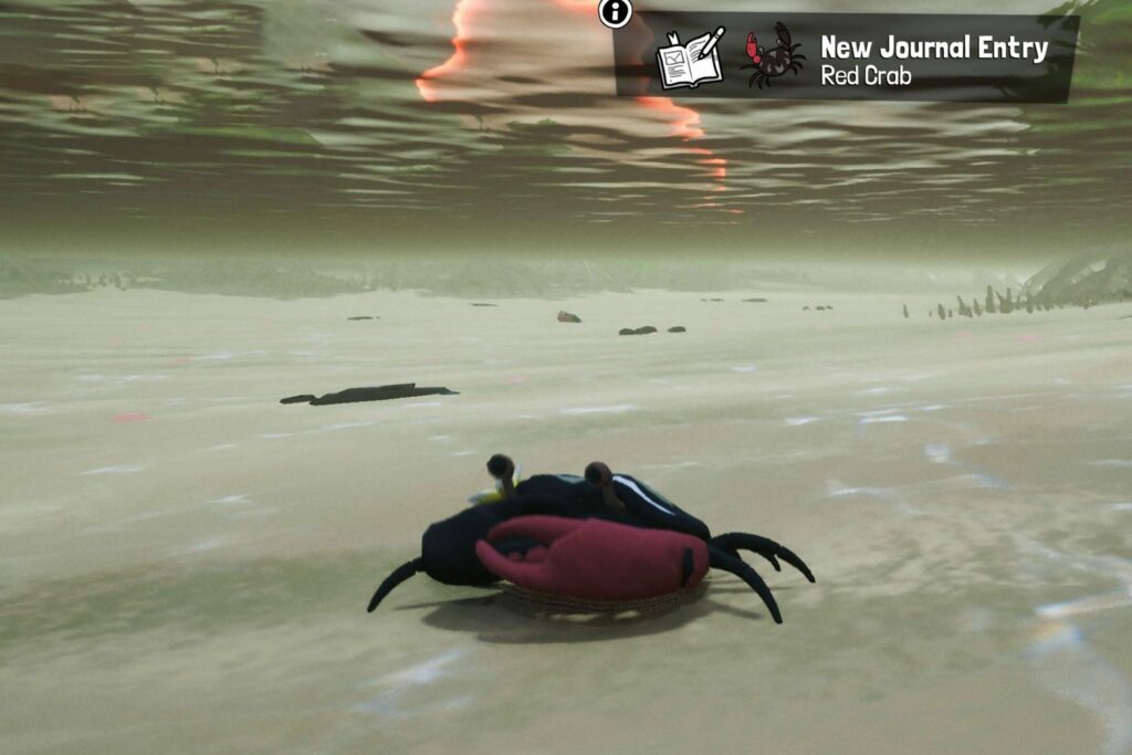 Tchia: Jak znaleźć czerwonego kraba dla Gaby | Weliwelski przewodnik Tchia: Jak znaleźć czerwonego kraba dla Gaby | Weliwelski przewodnik