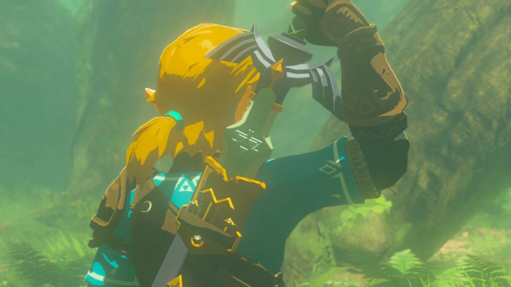 Legend of Zelda: Tears Of The Kingdom – Ile nasion Korok potrzeba, aby zmaksymalizować ekwipunek? Legend of Zelda: Tears Of The Kingdom – Ile nasion Korok potrzeba, aby zmaksymalizować ekwipunek?