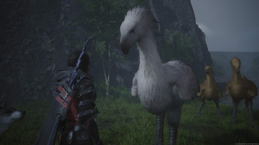 Final Fantasy 16: The White-Winged Wonder Quest Guide