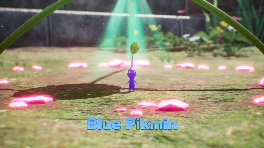 Pikmin 4 – Jak odblokować Blue Pikmin wcześnie |  Porady & Triki