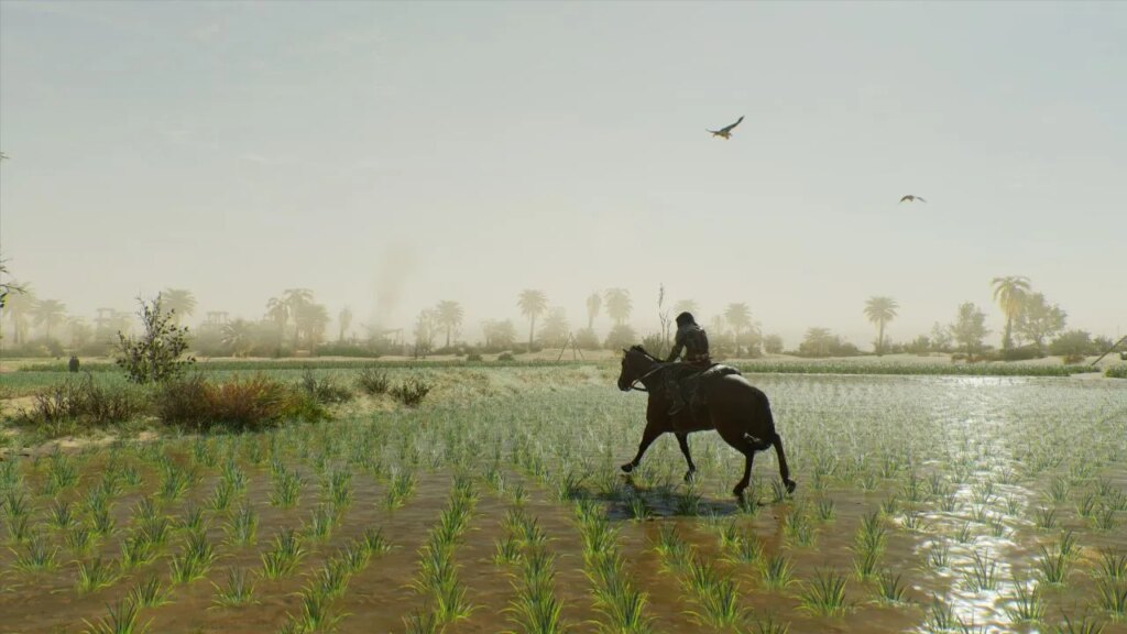 Wszystkie 9 lokalizacji skrzyń z wyposażeniem dzikiej przyrody w grze Assassin’s Creed Mirage Wszystkie 9 lokalizacji skrzyń z wyposażeniem dzikiej przyrody w grze Assassin's Creed Mirage